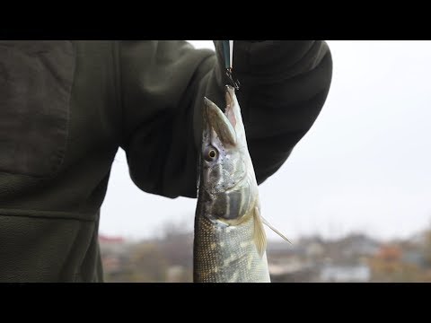 Видео: Трофей на море. 15 серия. Рыбалка на лимане