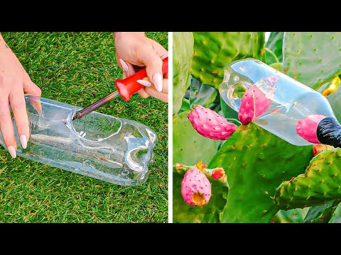 Видео: Умные садовые хитрости для любителей растений 🍀