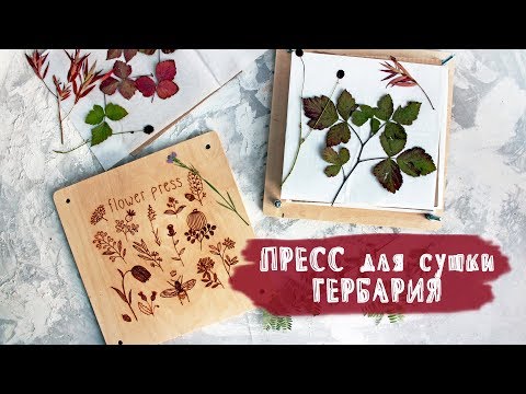 Видео: ОБЗОР | Пресс для сушки гербария | СКРАПБУКИНГ