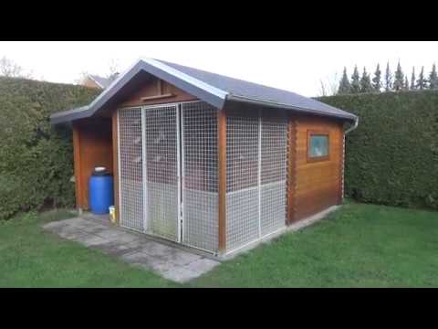 Видео: Голубятня Виктора / 19.01.2020