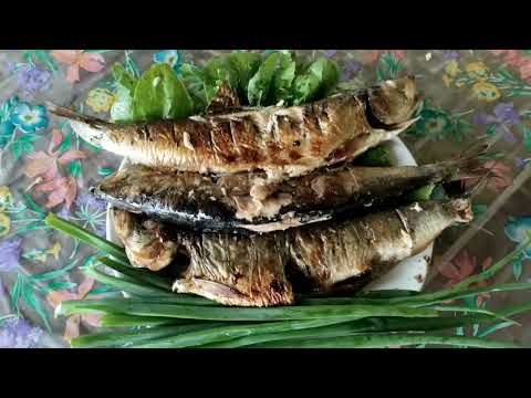 Видео: Дачные будни | Everyday life at the dacha