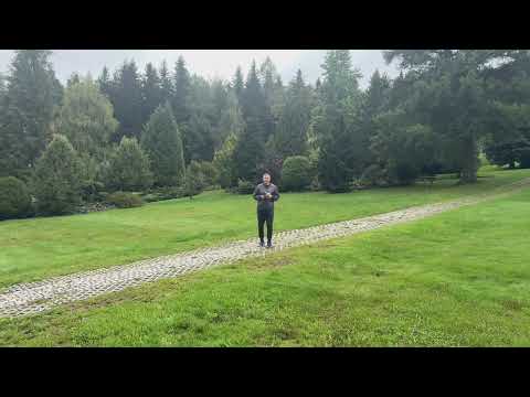 Видео: Исцеление сердца /1141/ Мария говорит практические вещи