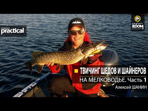 Видео: Твичинг шедов и шайнеров на мелководье. Алексей Шанин. Часть 1. Anglers Practical