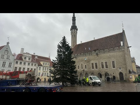 Видео: Установка ёлки в Таллинне 13.11.25.