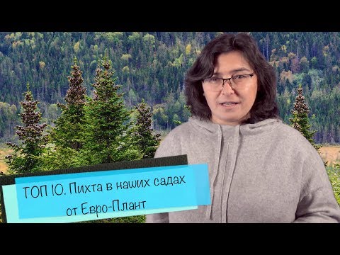 Видео: ТОП 10. Пихта в наших садах от Самойленко Натальи.