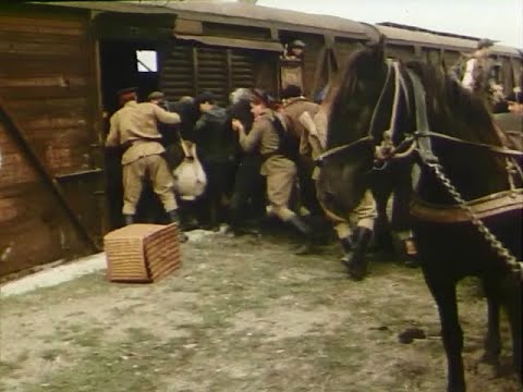 Видео: Страчені світанки (фільм про УПА)