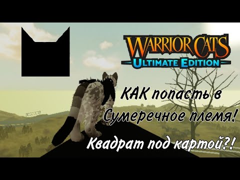 Видео: КАК попасть в Сумеречное Племя!/Квадрат под картой warrior cats ultimate edition!