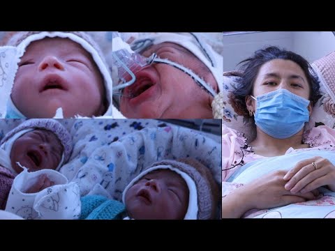 Видео: Хушхабар!!! Андижонда яна 4 эгизак туғилди