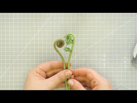 Видео: МК по изготовлению побегов папоротника из строительного силикона.