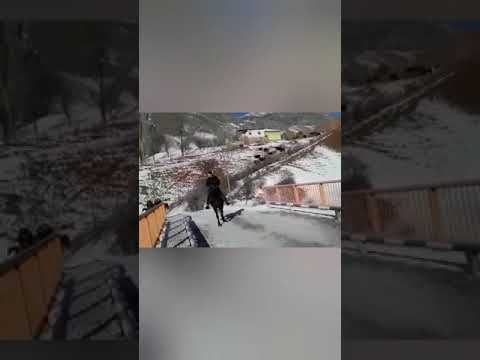 Видео: Алай мурдаш 🇰🇬🇰🇬♥️2003 улак🇰🇬🇰🇬♥️