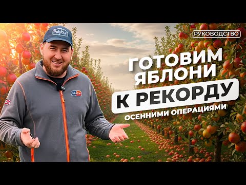 Видео: 5 ПРАВИЛ подготовки ЯБЛОНИ К УРОЖАЮ | сделайте СРАЗУ после сбора плодов | Послеуборочные мероприятия