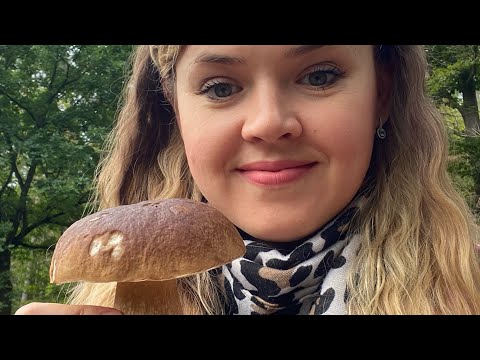 Видео: І знову за грибами. Осінь. жовтень 🍁