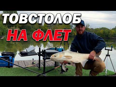 Видео: Трофейний товстолоб замість коропа! Осіння флет риболовля здивувала! 😱