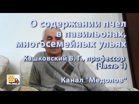Видео: О содержании пчел в павильонах, многосемейных ульях. Кашковский Владимир Георгиевич, профессор