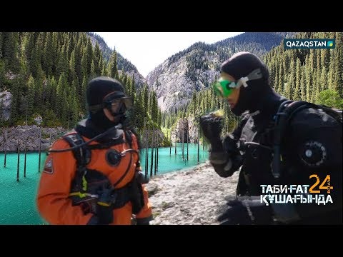 Видео: 24 сағат табиғат құшағында. Роза  Рымбаева (Қорғалжың)