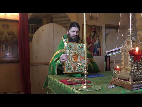 Видео: САМ ЧИТАЮ, САМ ПОЮ, САМ КАДИЛО ПОДАЮ