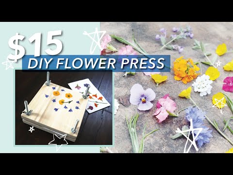 Видео: 🌼 Самодельный пресс для цветов менее чем за 15 долларов! 🌼 Доступные советы и рекомендации по пре...