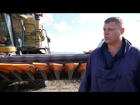 Видео: Сравниваем жатки для уборки подсолнечника ПСП рядковая с Безрядковой  ОТЗЫВ о работе ЖАТКИ