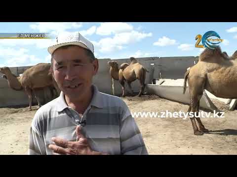 Видео: Ел мен жер (06 09 2019) Жетысу
