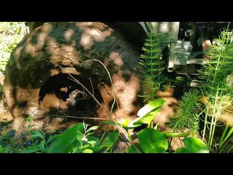 Видео: ТДН 400 с центральной подкачкой по заросшей дороге через торфяник, резина Краз,