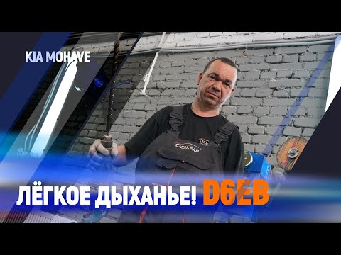 Видео: Правильное удаление экологии Kia Mohave