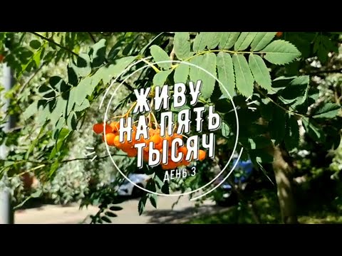 Видео: ПРОЖИТЬ НА 5 000  С ДВУМЯ ДЕТЬМИ ДЕНЬ 3