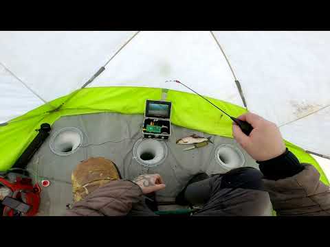 Видео: Рыбалка на сига 23го февраля.