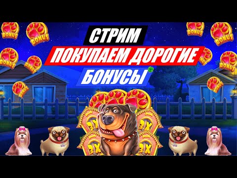 Видео: СТРИМ НА 5.000.000Р! ЗАНОСЫ НЕДЕЛИ!  заносы онлайн в прямом эфире сейчас!