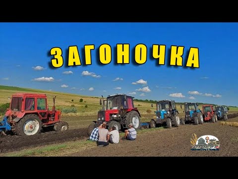 Видео: ЗАГОНОЧКА 2022!Обалденная песня!ДЛЯ ДУШИ!