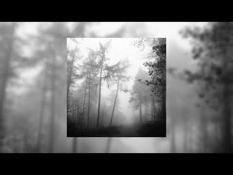 Видео: PONTYBUTT & Dankness - Алиса (slowed and reverb)