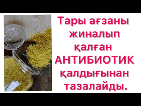Видео: Тарының ағзаға пайдасы мен зияны. #тары #талқан #пшено