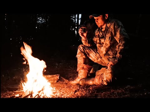 Видео: РЫБАЛКА С НОЧЁВКОЙ. НЕБОЛЬШИЕ ЩУКИ АТАКУЮТ. ОДИН В ЛЕСУ.