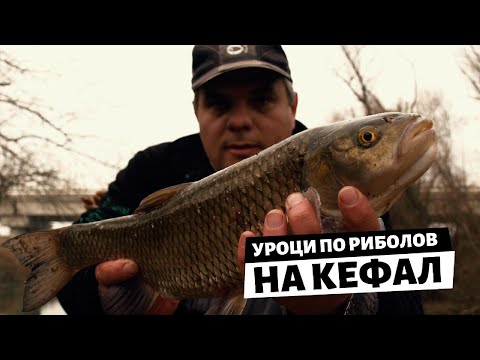 Видео: Уроци по РИБОЛОВ на КЕФАЛ - 1 част / Реката на трофейните кефали