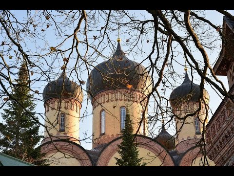 Видео: 19.11.2025. Среда. Божественная Литургия.Прп. Варлаама Хутынского.
