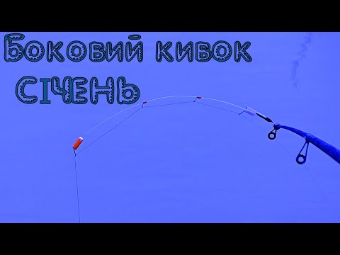 Видео: БОКОВИЙ кивок в СІЧНІ. Як ловити пасивну рибу на боковий кивок? Риболовля по холодній воді