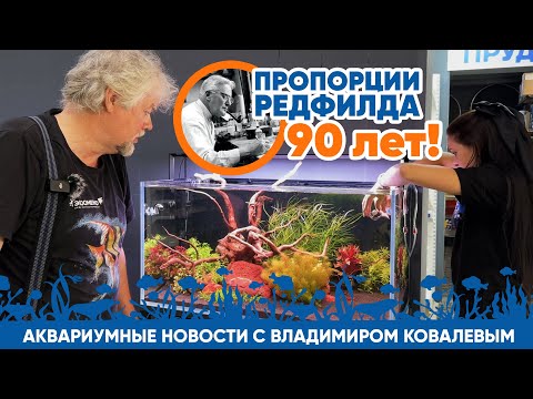 Видео: Аквариумные новости с Владимиром Ковалёвым (06.09.24). Пропорции Редфилда - 90 лет!