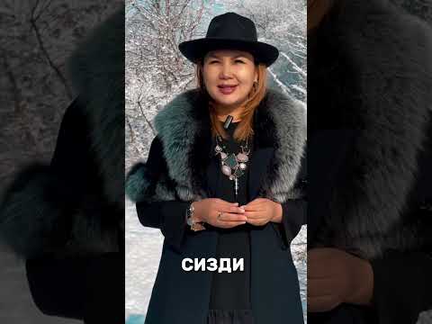 Видео: ВИП 14 Курска катталуу үчүн 0703108483 Мунара Акылбековна