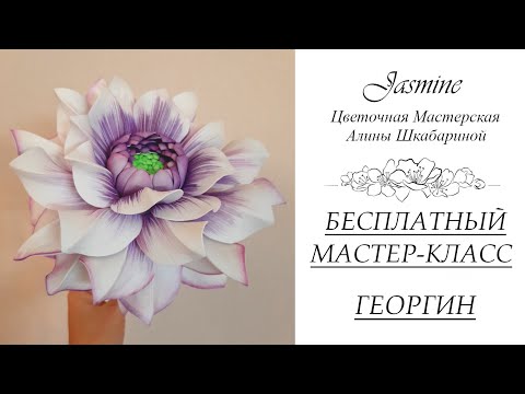 Видео: БЕСПЛАТНЫЙ МАСТЕР-КЛАСС - ГЕОРГИН (ФОАМИРАН)