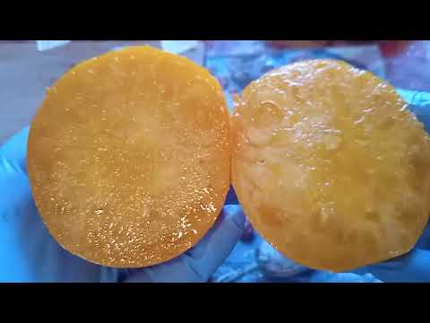 Видео: Небольшая дегустация томатов. Обзор в разрезе!