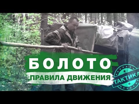 Видео: БОЛОТА - ПРАВИЛА  ДВИЖЕНИЯ через ТОПЬ (как бы между строк)