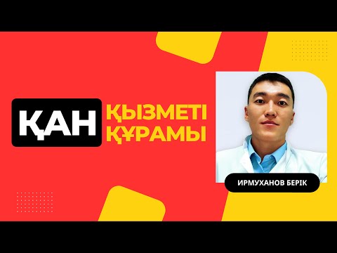 Видео: Қан | Құрамы | Қызметі