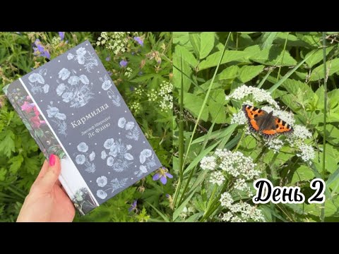 Видео: 3 на 3 || КНИЖНЫЙ МАРАФОН || День 2 || Кармилла + Парящий дракон 🙊🦇👻