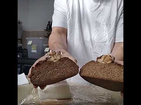 Видео: 7 ноября 2025 г.