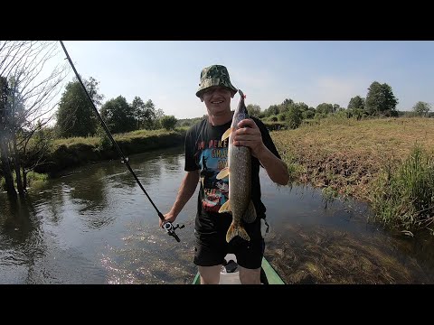 Видео: Сплав на деревянной лодке по р.Друть
