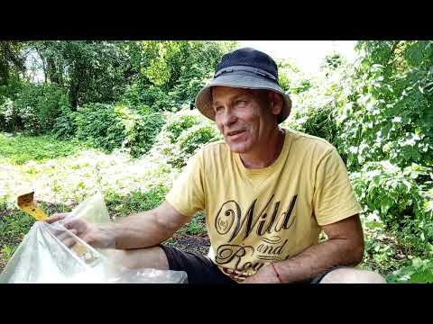 Видео: Цвет маток и не только...