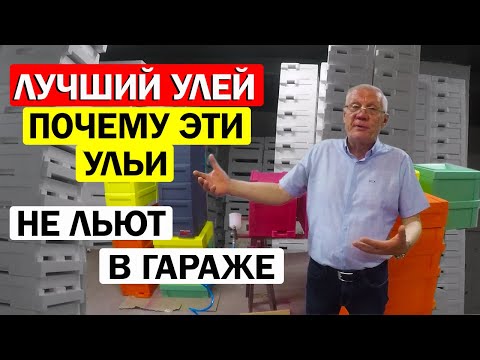 Видео: Какой Улей для пчел самый ЛУЧШИЙ? Из какого материала лучший улей?