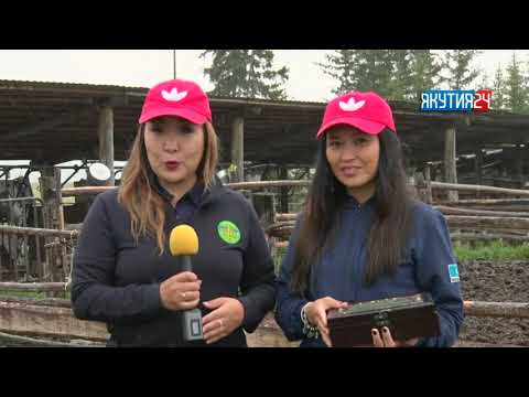 Видео: Ферма. 2 сезон 13 серия