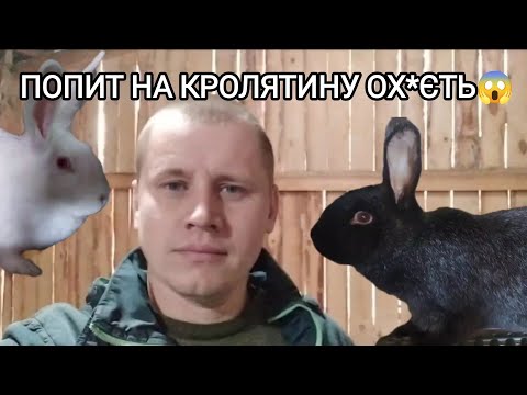 Видео: М'ЯСО КРОЛЯ НА РОЗХВАТ💪 ОСІНЬ | ПОПИТ ПОРОДЖУЄ ЦІНУ?🙄