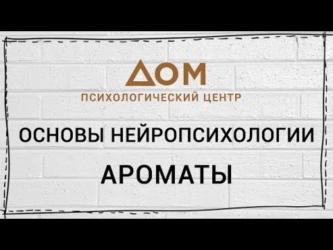 Видео: Основы нейропсихологии / Шишкова Светлана Юлиановна