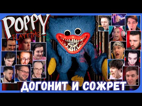 Видео: Реакции Летсплейщиков на Погоню от Хагги из Poppy Playtime
